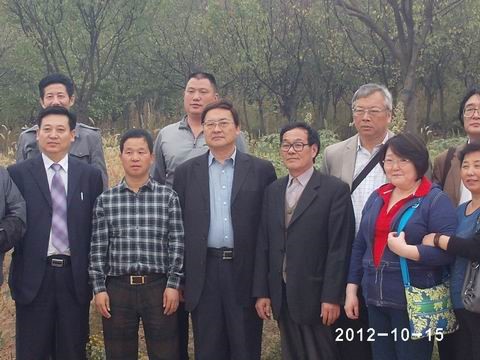 1560586451131387.jpg 8.jpg