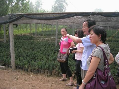 1560586488823345.jpg 12.jpg