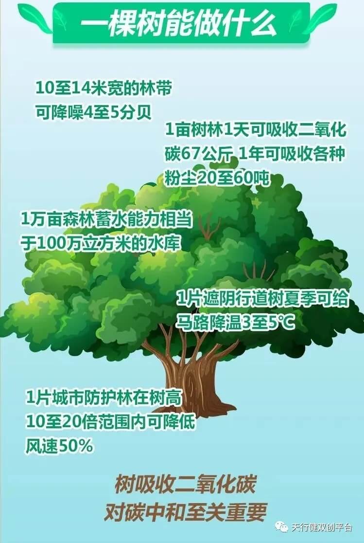 1620383877141459.jpg 640.webp (8).jpg